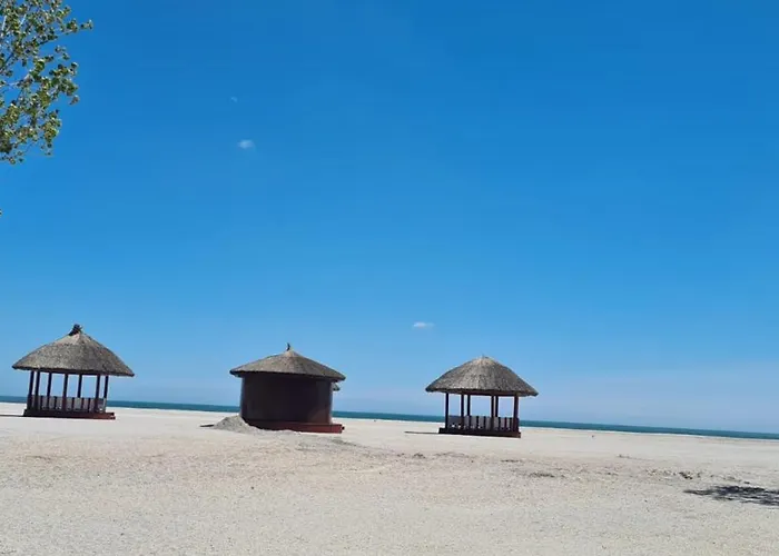 2 Moonlight Vega * مامايا